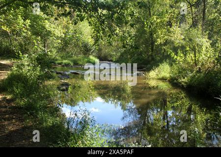 Blick auf einen Bergbach im Herbst. South Fork Goose Creek in Virginia, USA. Stockfoto