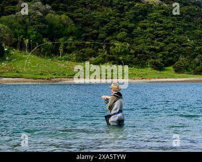 Das Fliegenfischen im Salzwasser im Houhura Harbour, Neuseeland. Stockfoto