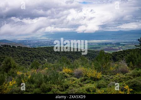 Ein malerischer Blick auf das Hula-Tal im Norden Israels, nahe der Grenze zum Libanon, mit einer üppigen Landschaft. Stockfoto