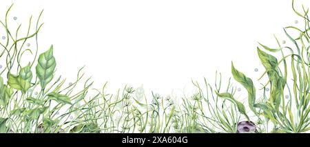 Unterwasser-Grüntang. Botanischer horizontaler Rahmen mit Meerespflanzen, Gras, Steinen. Algen, Algen. Aquarium Kräuter. Aquarellabbildung Stockfoto