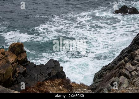 Raue Küste in Louisbourg, Nova Scotia, Kanada Stockfoto