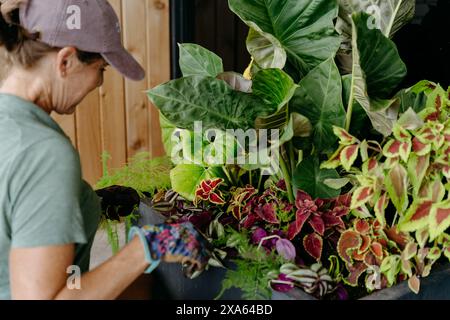 Eine Frau mit einem großen Topf Pflanzen. Stockfoto