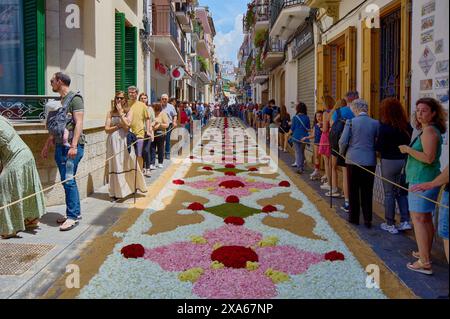 Sitges, Barcelona, Spanien – 03. Juni 2024: Die Gemeinschaft trifft sich zu einer festlichen Veranstaltung, die vergängliche Kunst mit farbenfrohen Blütenblättern auf dem pavem kreiert Stockfoto