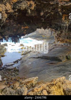 Admirals Arch Lookout mit Sleeping and Rusting Sea Lions, Kangaroo Island, South Australia Stockfoto