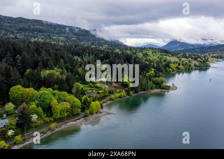 Die Luft eines Sees mit einem dichten Wald am Ufer Stockfoto