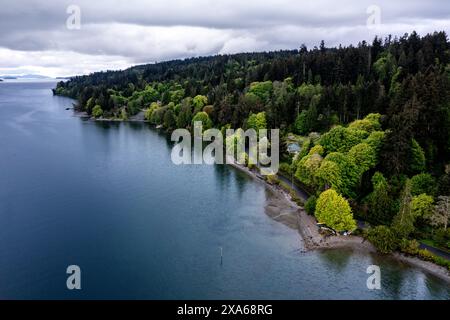 Die Luft eines Sees mit einem dichten Wald am Ufer Stockfoto