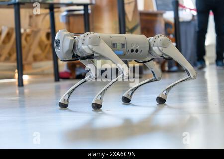 Grauer Militärroboterhund bei einer Demonstration Stockfoto