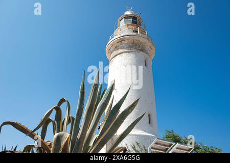 Der majestätische weiße Leuchtturm von Paphos steht vor einem klaren blauen Himmel mit einer großen Agavenpflanze im Vordergrund. Zypern Stockfoto