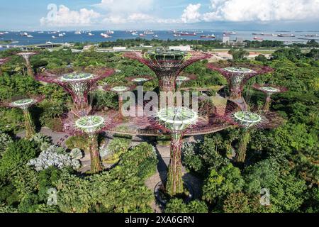 Aus nächster Nähe sehen Sie die hoch aufragenden Superbäume der Gärten an der Bucht in Singapur und die Schiffe auf der Singapore Straight in der Ferne Stockfoto