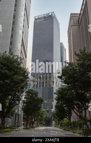 Städtisches Stadtbild mit hohen Gebäuden und Bäumen entlang der Straße in Singapur Stockfoto