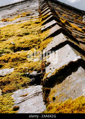 Die Firstziegel auf einem alten Steinschieferdach mit großer Moosbewuchs Stockfoto