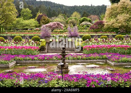 Frühling im Italienischen Garten, Butchart Gardens, mit der Statue des Quecksilbers, einem Teich und farbenfrohen Frühlingsgartenbeeten voller farbenfroher Blumen. Stockfoto