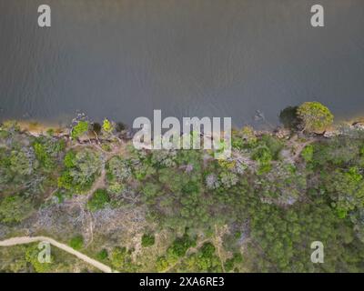 Ein Blick von oben auf die Noosa Botanic Gardens in Noosa Heads, Queensland, Australien Stockfoto