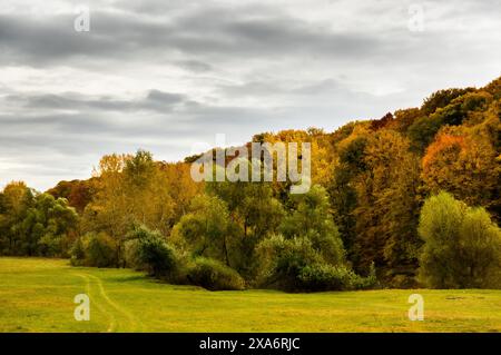 Ein malerischer Blick auf Bucium-Wälder in der Nähe von Iasi, Rumänien Stockfoto