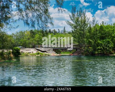 Eine kleine Brücke über einen ruhigen Teich in einem ruhigen Park Stockfoto