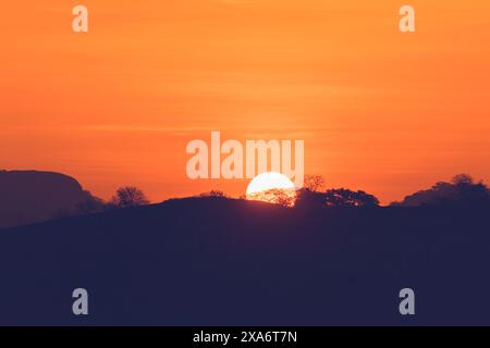 Ein malerischer Blick auf den Sonnenuntergang über einem Wald Stockfoto