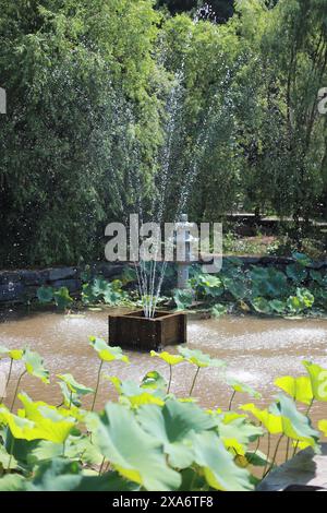 Ein kleiner Brunnen, umgeben von üppigen Bäumen und Pflanzen Stockfoto