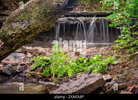 Ein malerischer Wasserfall fällt über Felsen in einer üppigen Waldlandschaft Stockfoto