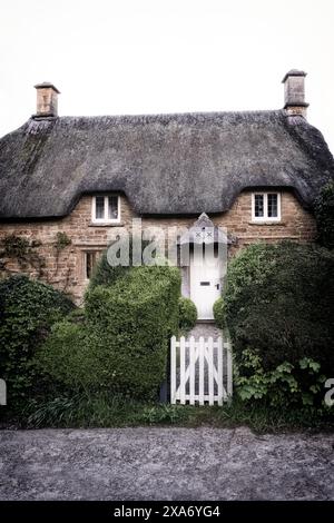 Ein kleines Haus umgeben von Büschen und Sträuchern im Freien. Stockfoto