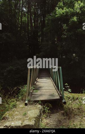 Eine kleine Brücke, die über ein Gewässer mit Bäumen auf beiden Seiten überspannt Stockfoto