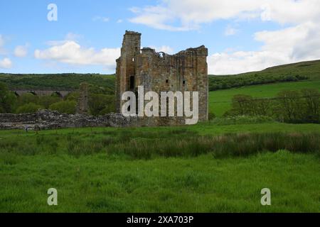 Ruinen der Burg aus dem 14. Jahrhundert in Edlingham mit seinem Solarturm, Northumberland, England, Großbritannien Stockfoto