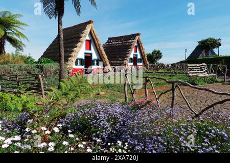 Typische Häuser in Santana, Madeira, Portugal. Stockfoto