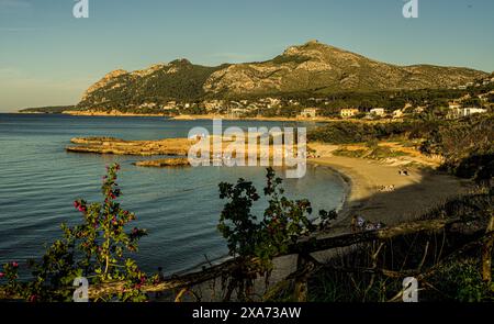 Abendlicher Blick auf die Platja de Sant Joan und die Bucht, im Hintergrund die Tramuntana Berge, Alcudia, Mallorca, Spanien Stockfoto