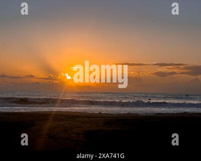 Ein Surfer, der bei Sonnenuntergang am Strand mit einem Surfbrett spaziert Stockfoto
