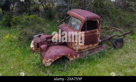 Ein rostiger alter Truck, der im Wald steht Stockfoto