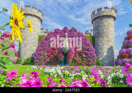 Dubai Miracle Garden, farbenfroher Blumenpark, Vereinigte Arabische Emirate Stockfoto