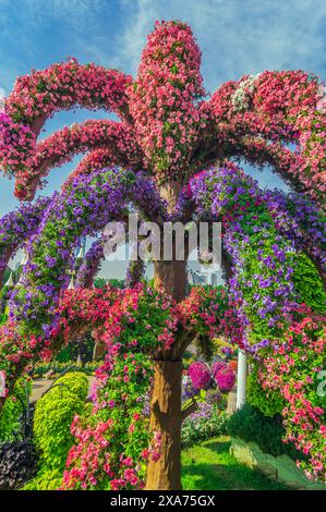 Dubai Miracle Garden, farbenfroher Blumenpark, Vereinigte Arabische Emirate Stockfoto