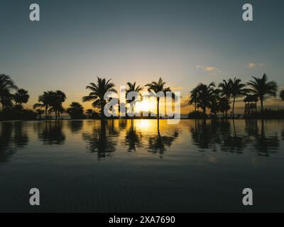 Eine tropische Wasseroberfläche bei Sonnenuntergang mit Palmen in Silhouette Stockfoto