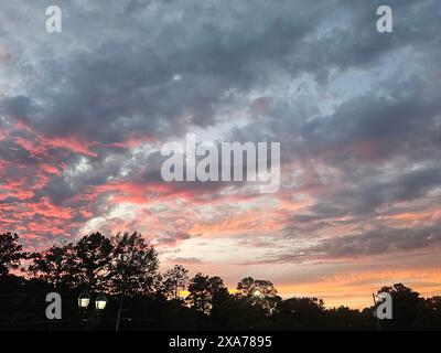 Silhouette von Bäumen vor einem leuchtenden Himmel bei Sonnenuntergang mit Blau- und Orangetönen Stockfoto