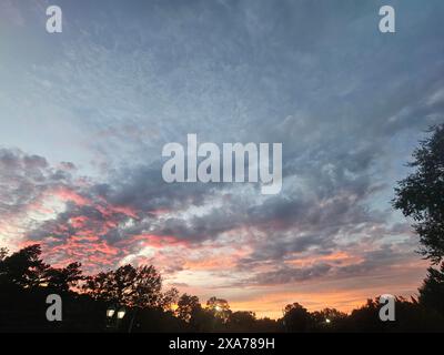 Silhouette von Bäumen vor einem leuchtenden Himmel bei Sonnenuntergang mit Blau- und Orangetönen Stockfoto