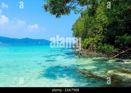 Die Bäume und das türkisfarbene Wasser rund um Coral Island, Phuket, Thailand. Blauer Himmel mit Kopierraum für Text Stockfoto