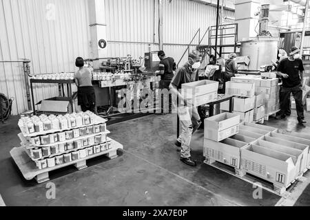 Die Arbeiter in einer Fabrik verpackten Pakete in Johannesburg, Südafrika, in Graustufen Stockfoto