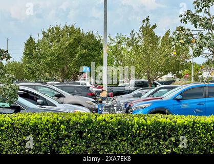 Mehrere Autos parkten auf einem Parkplatz, umgeben von üppigem Laub Stockfoto