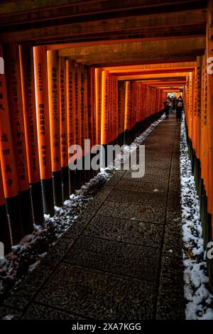 Die beiden jungen japanischen Frauen in formeller Winterkleidung posieren vor dem Torii Gate Tunnel am Fushimi Inari Schrein in Kyoto Japan. Stockfoto