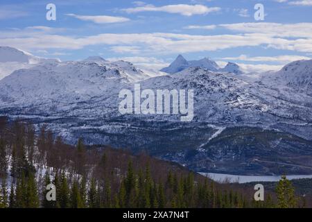 Eine große Berglandschaft mit immergrünen Bäumen im Vordergrund Stockfoto