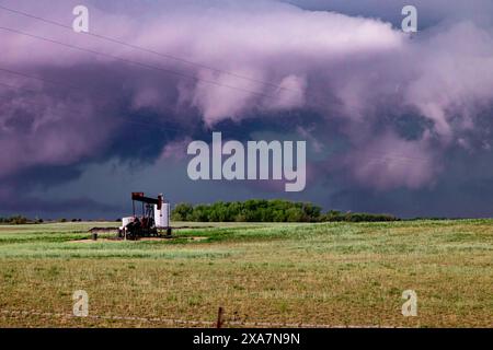 Ein Traktor, der auf einem Feld unter bewölktem Himmel geparkt ist Stockfoto