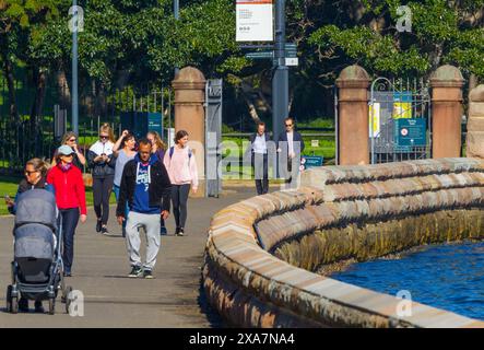 Der Spaziergang an der Meereswand am Mrs Macquarie's Point at Farm Cove und die Royal Botanic Gardens am Sydney Harbour in Sydney, Australien. Stockfoto