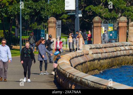 Der Spaziergang an der Meereswand am Mrs Macquarie's Point at Farm Cove und die Royal Botanic Gardens am Sydney Harbour in Sydney, Australien. Stockfoto