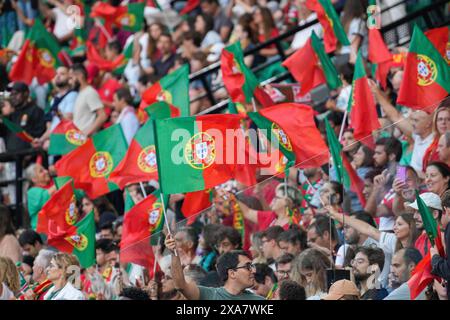 Lissabon, Portugal. Juni 2024. Portugal-Fans, die beim Fußball-Freundschaftsspiel zwischen Portugal und Finnland im Estadio Jose Alvalade zu sehen waren. Endpunktzahl: Portugal 4:2 Finnland Credit: SOPA Images Limited/Alamy Live News Stockfoto