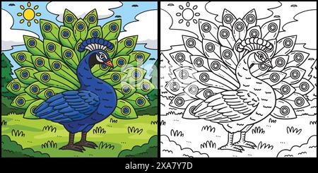 Peacock Bird Coloring Page Farbige Illustration Stock Vektor