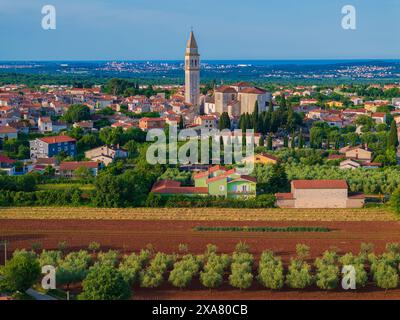 Luftaufnahme der Stadt Vodnjan in Istra, Kroatien Stockfoto