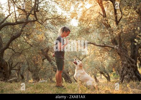 Eine junge Frau trainiert einen Labrador Retriever Hund in einem ruhigen Olivenhain. Hochwertige Fotos Stockfoto