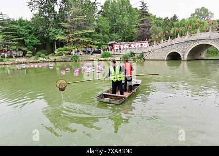 QINGZHOU, CHINA - 5. JUNI 2024 - Freiwillige säubern schwimmende Objekte auf einem Fluss in Qingzhou, ostchinesische Provinz Shandong, 5. Juni 2024. Stockfoto