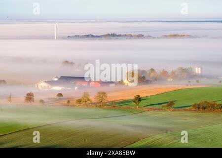 Bauernhof in ländlicher Landschaft mit Morgennebel auf den Feldern im Spätsommer, Schweden Stockfoto