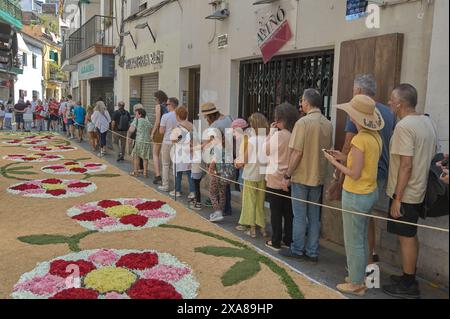 Sitges, Barcelona, Spanien-03. Juni 2024: Auf diesem Foto wird das fest zum Leben erweckt, das ein kompliziertes Design von Blütenblättern auf dem urbanen Gelände zeigt Stockfoto