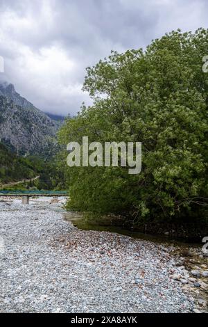 Flussbett Stockfoto